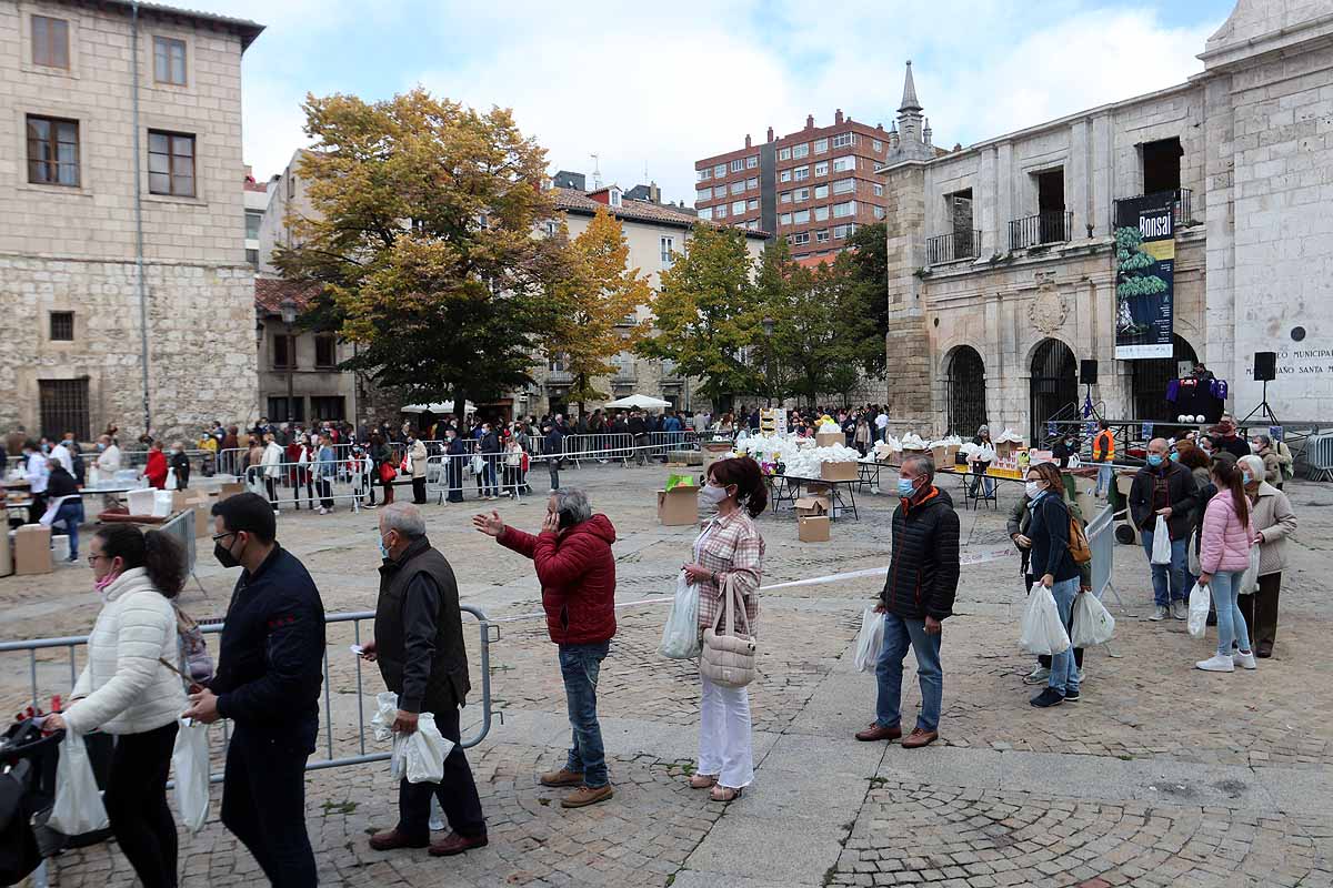 Fotos: 350 kilos de arroz para enviar desde Burgos más de 20.000 euros a La Palma