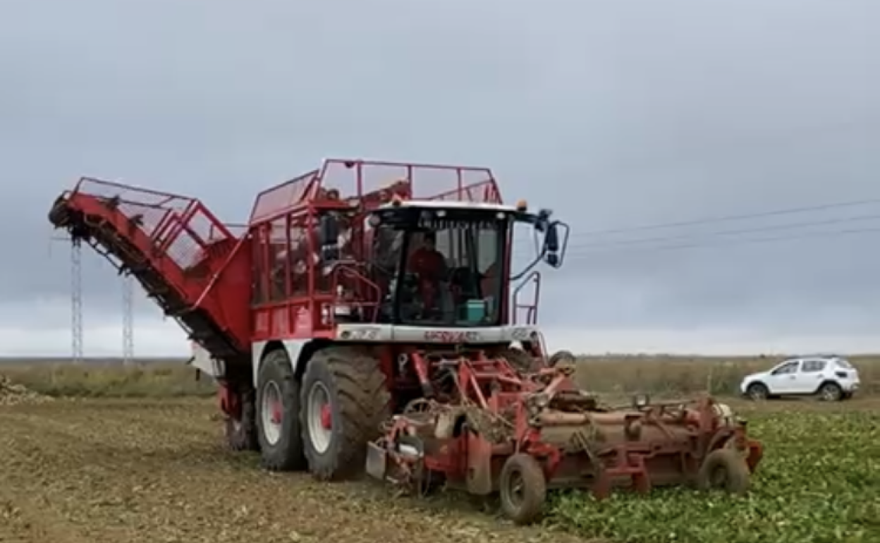 Una máquina arranca raíz en la localidad vallisoletana de Tordesillas. 