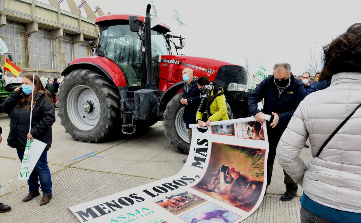 Movilización en Valladolid contra la especial protección de lobo. 