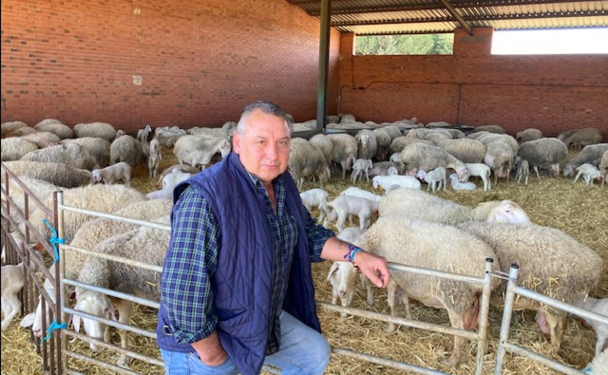 Carlos García en su explotación de Pollos, Valladolid. 