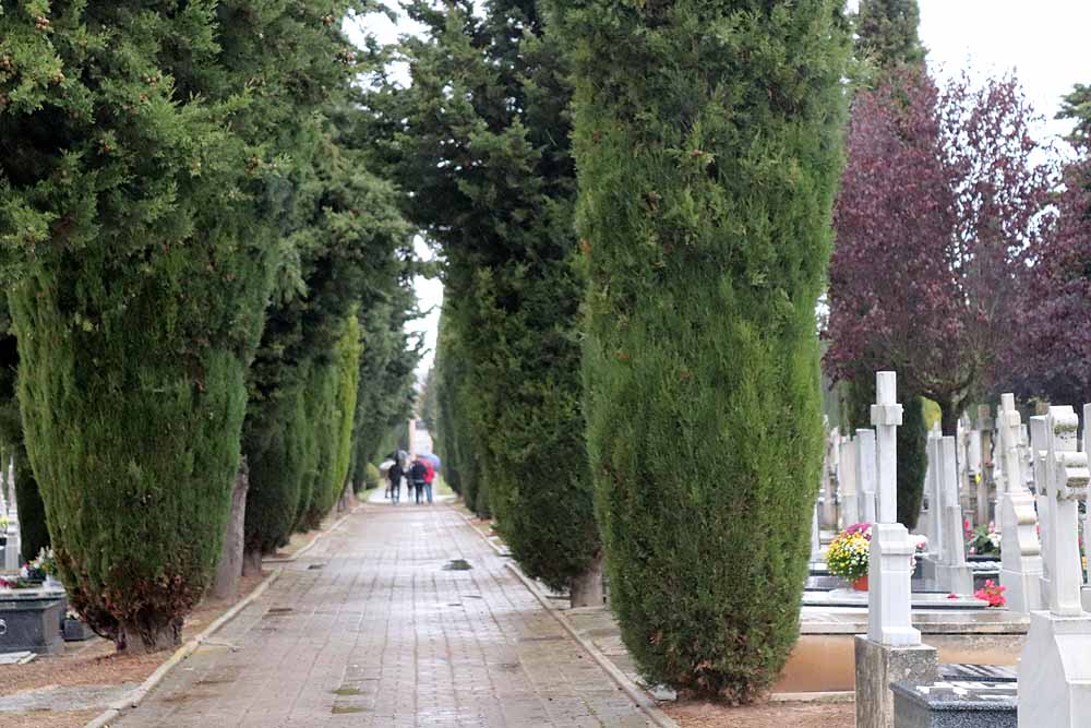 Fotos: La lluvia está marcando las visitas al cementerio de Burgos