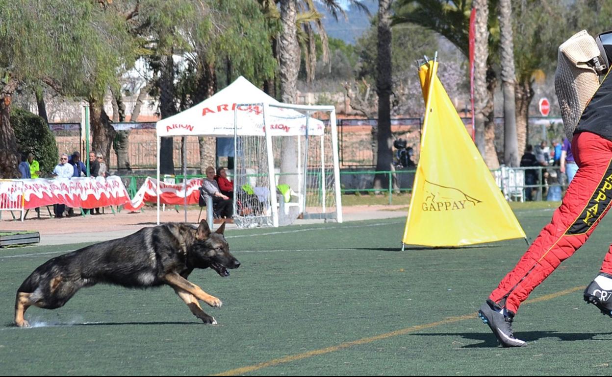 Imagen de las pruebas de trabajo.