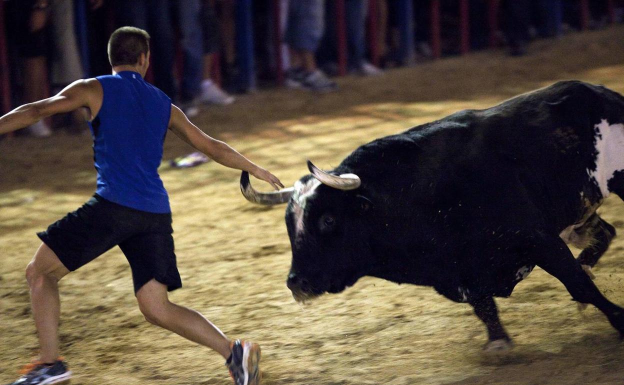 Imagen de archivo de la celebración de 'bous al carrer' en la Comunidad Valenciana, con el toro 'Ratón'..