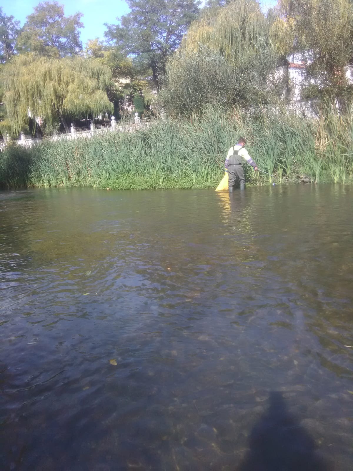 Fotos: Toneladas de basura en los ríos