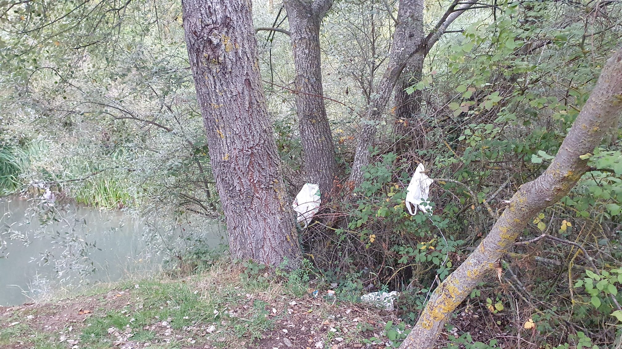 Fotos: Toneladas de basura en los ríos