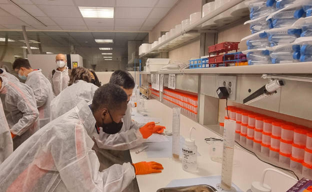 La Semana de la Ciencia contó con la quinta edición de los Open Labs. 