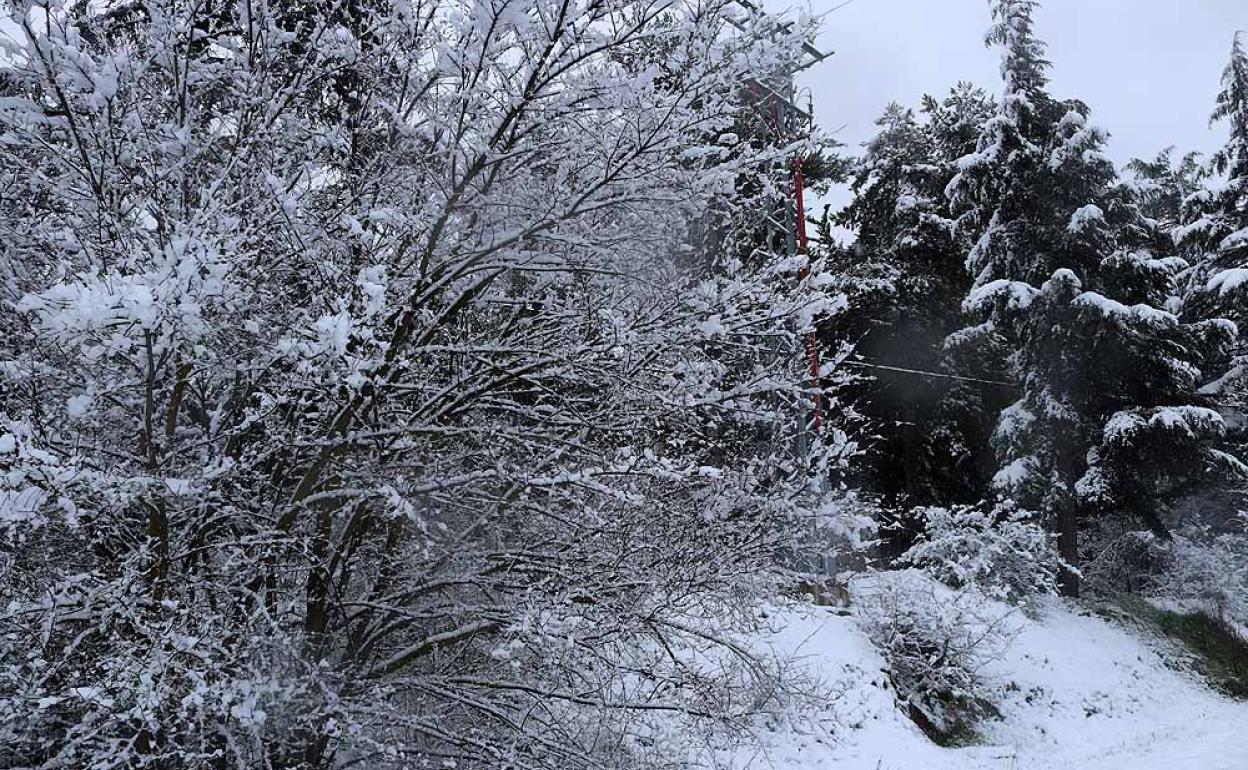 Activada la alerta por nieve en Burgos, cayendo la cota a 700 metros