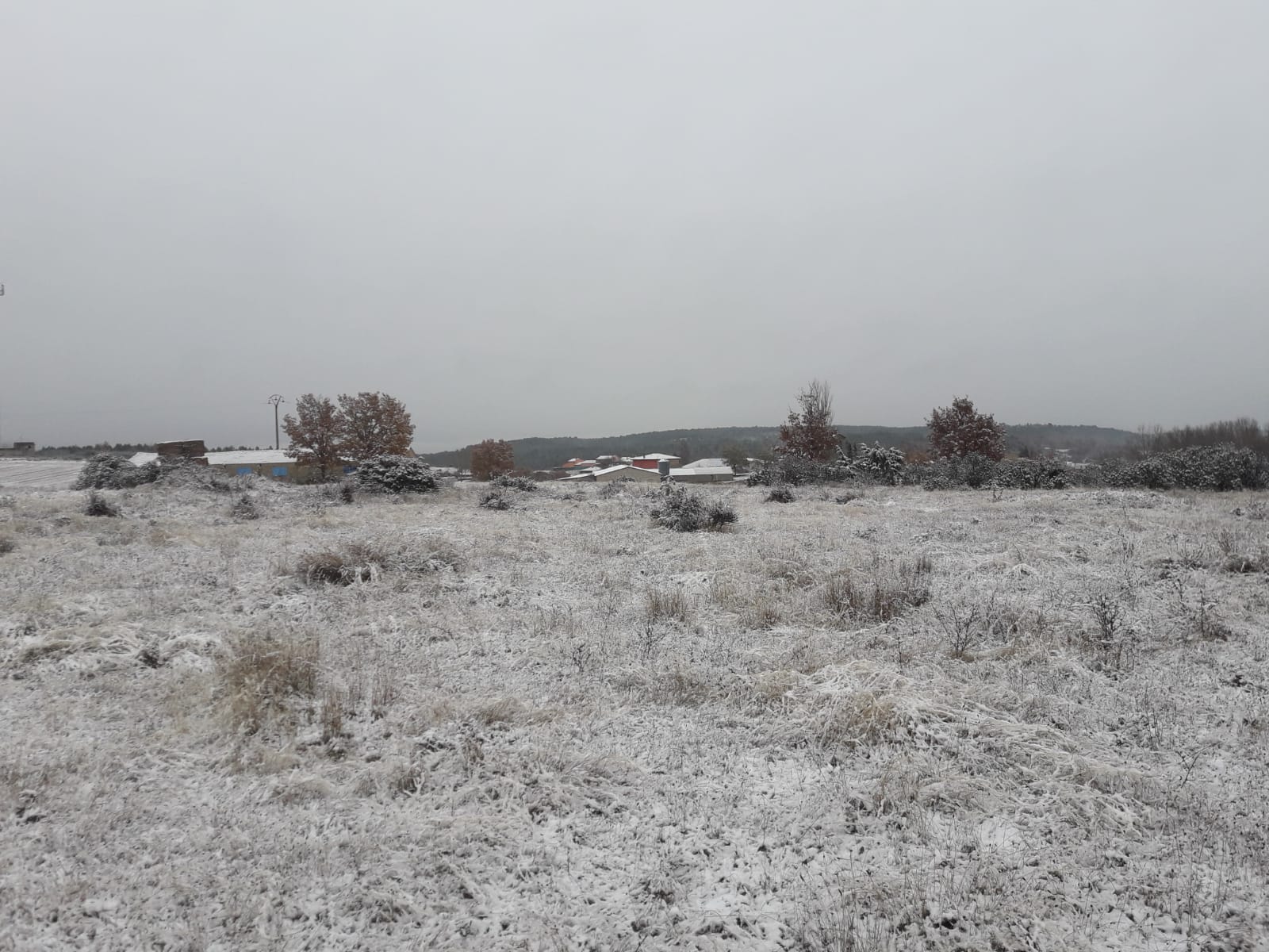 Nieve en el pueblo burgalés de La Gallega. 