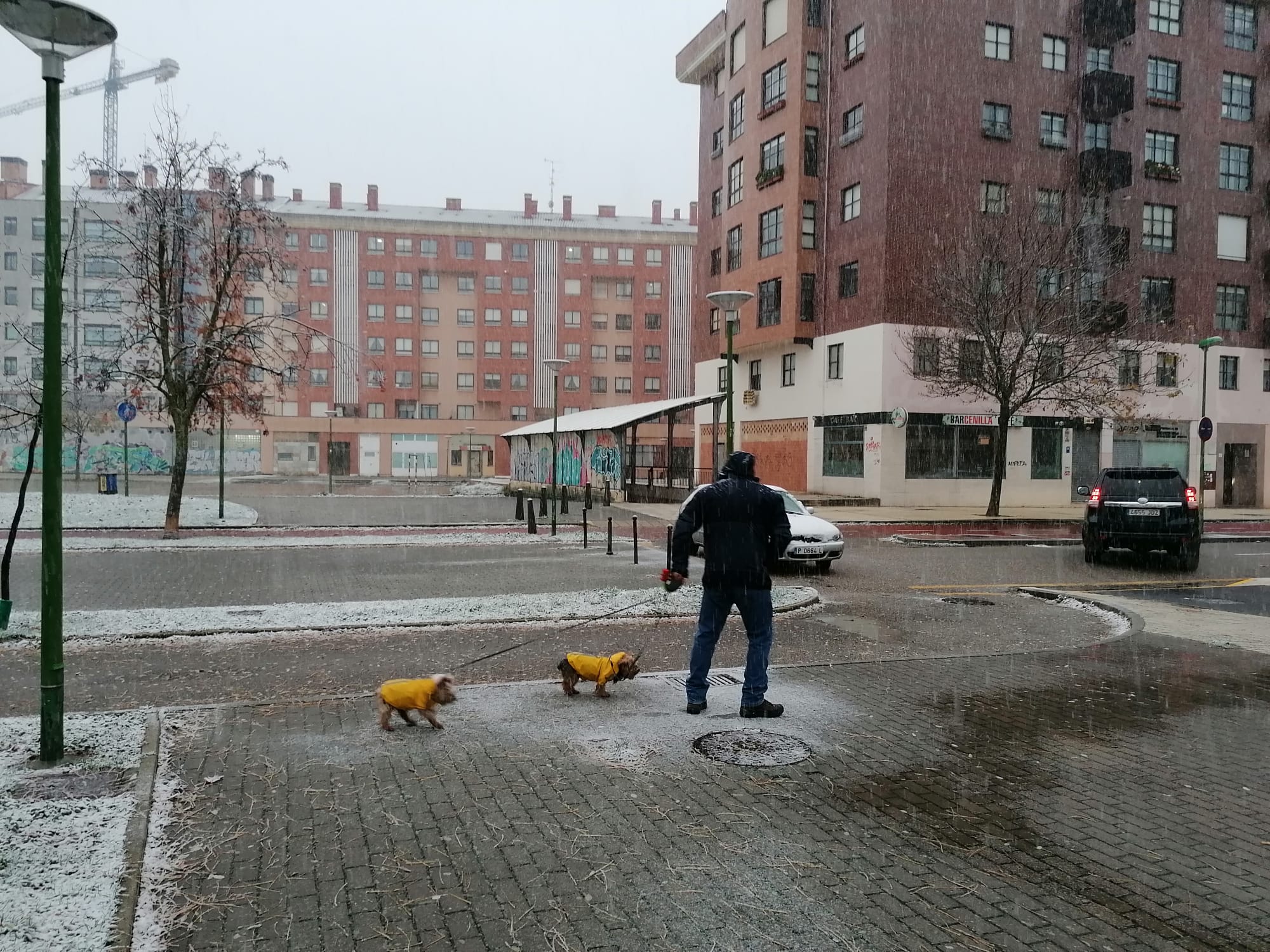 Fotos: La primera nevada del otoño en Burgos en imágenes