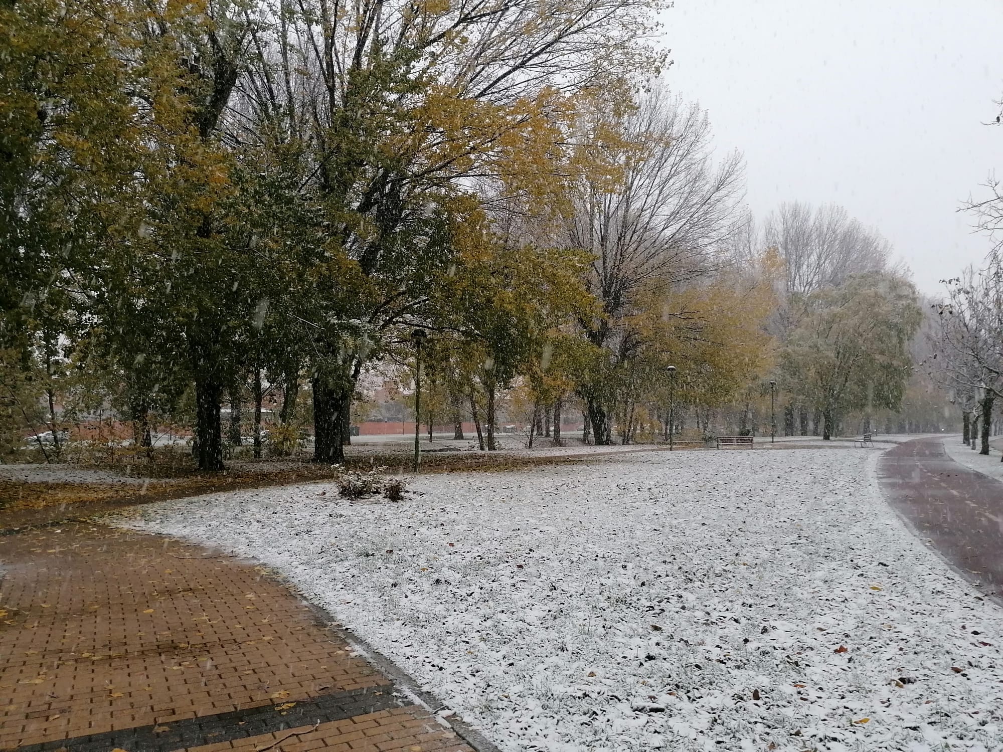 Fotos: La primera nevada del otoño en Burgos en imágenes