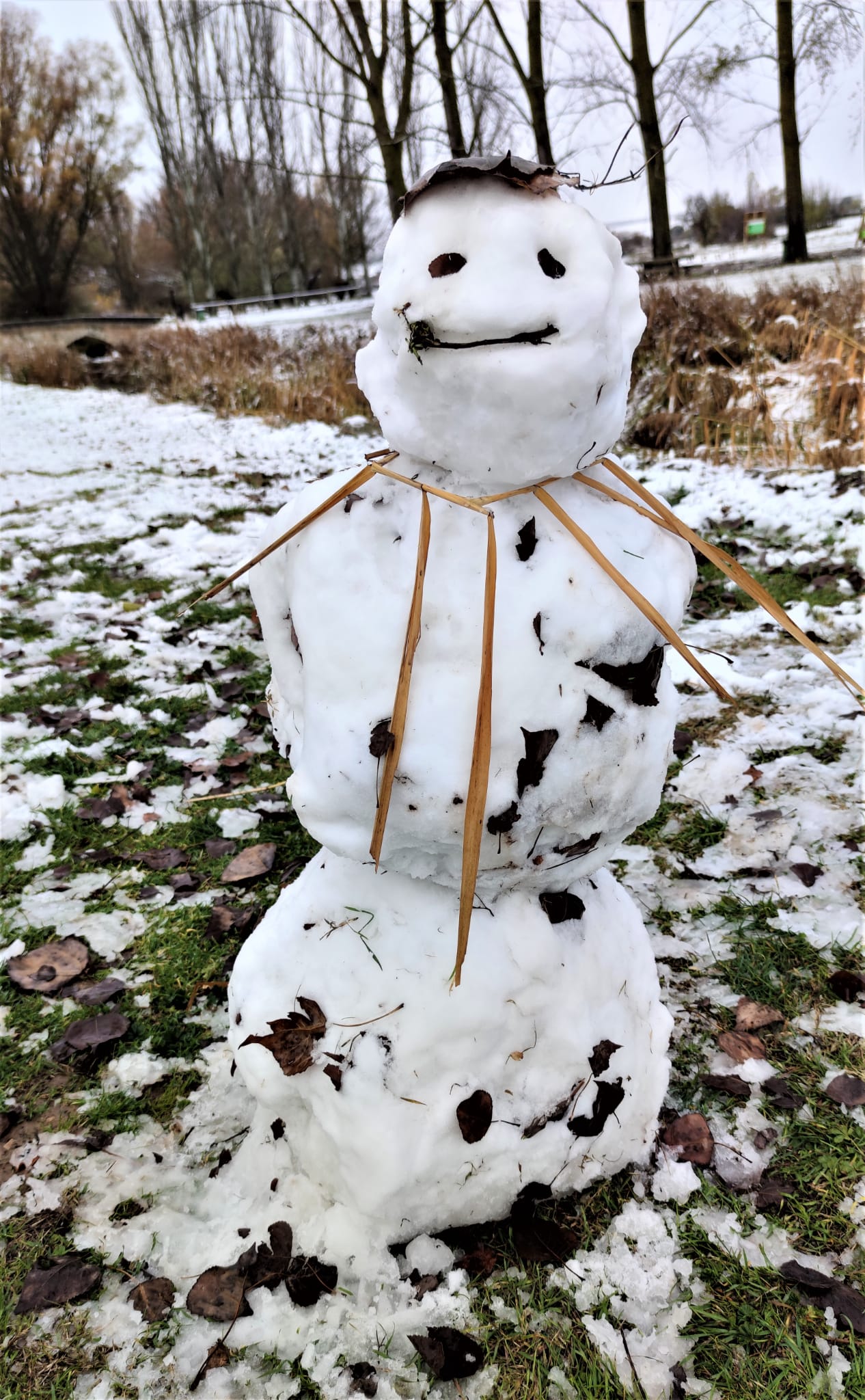 Fotos: La nieve se extiende por la provincia de Burgos