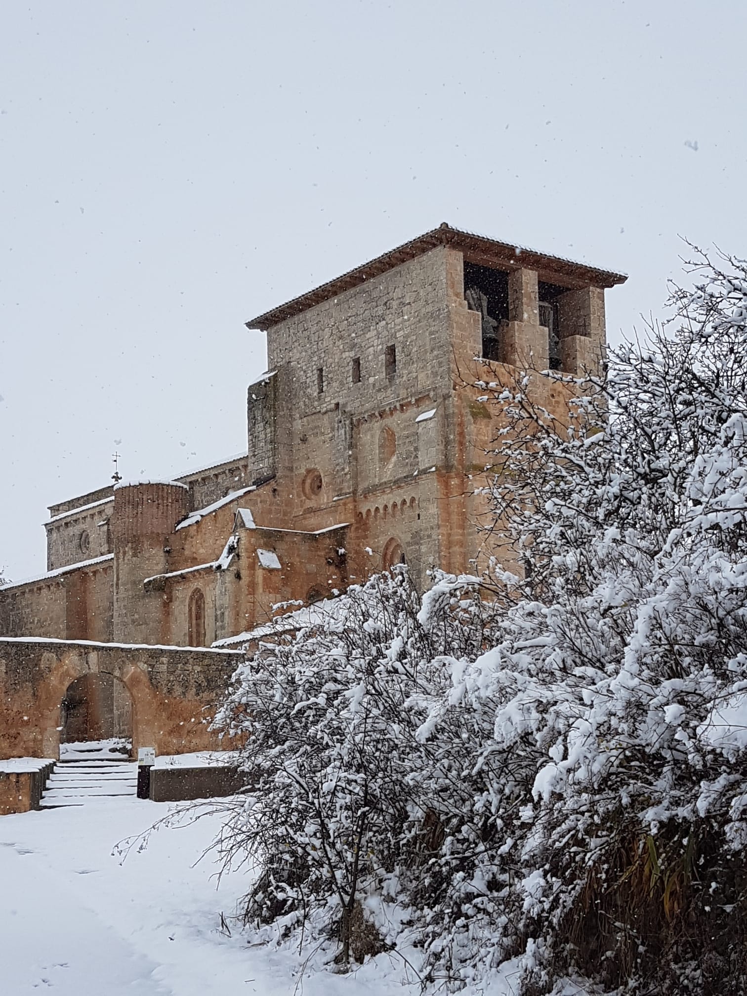 Fotos: La nieve se extiende por la provincia de Burgos