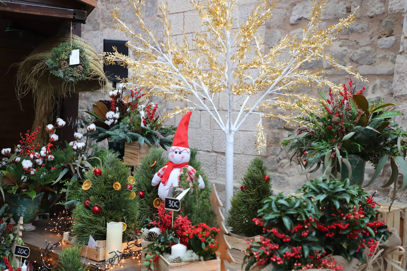 Fotos: Feria de Navidad de los floristas de Burgos