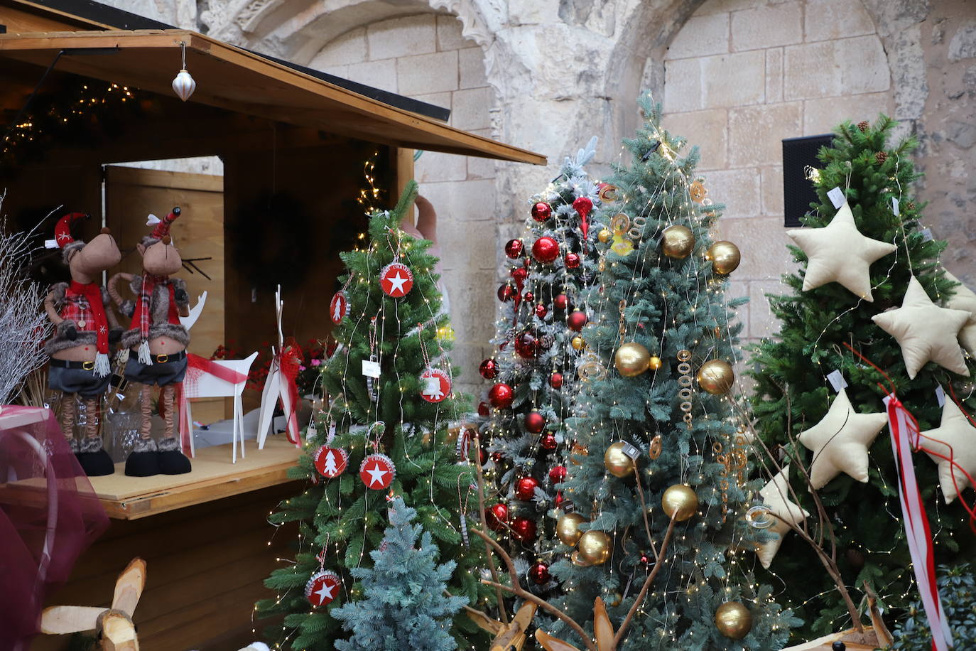 Fotos: Feria de Navidad de los floristas de Burgos