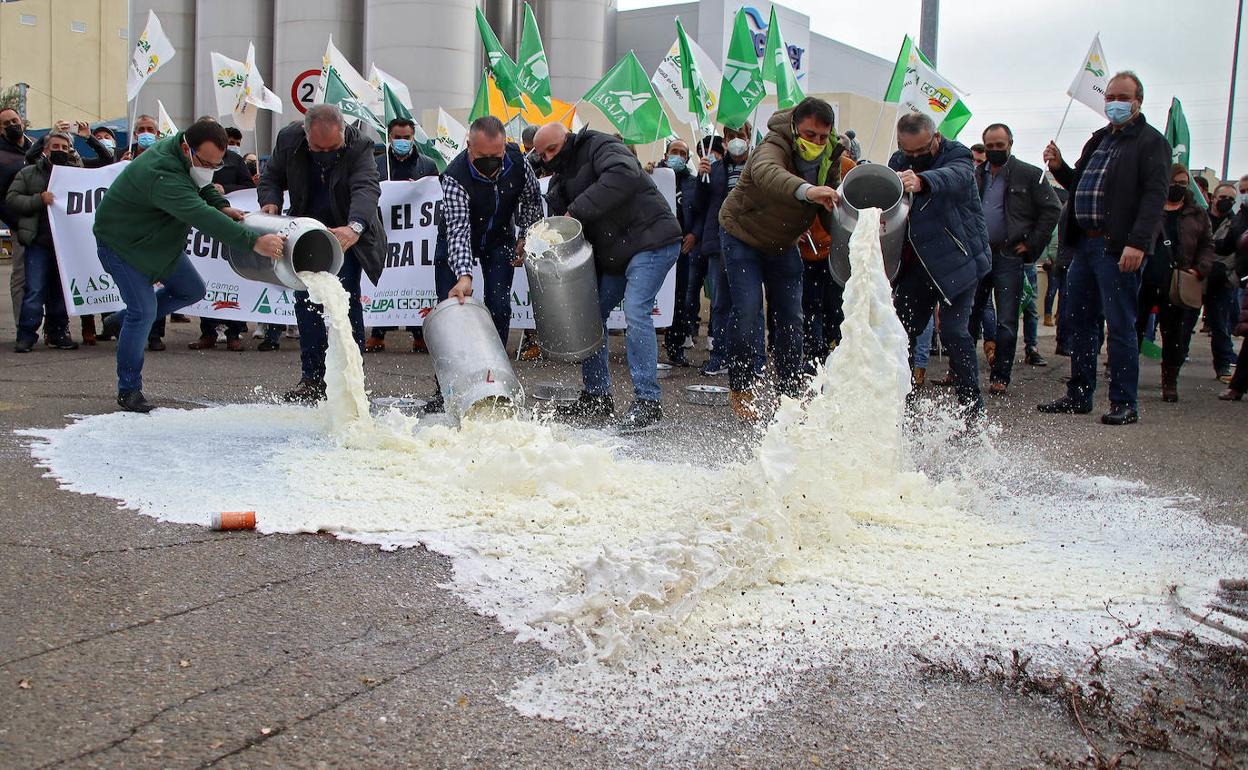 Los ganaderos tiran leche durante la concentración. 