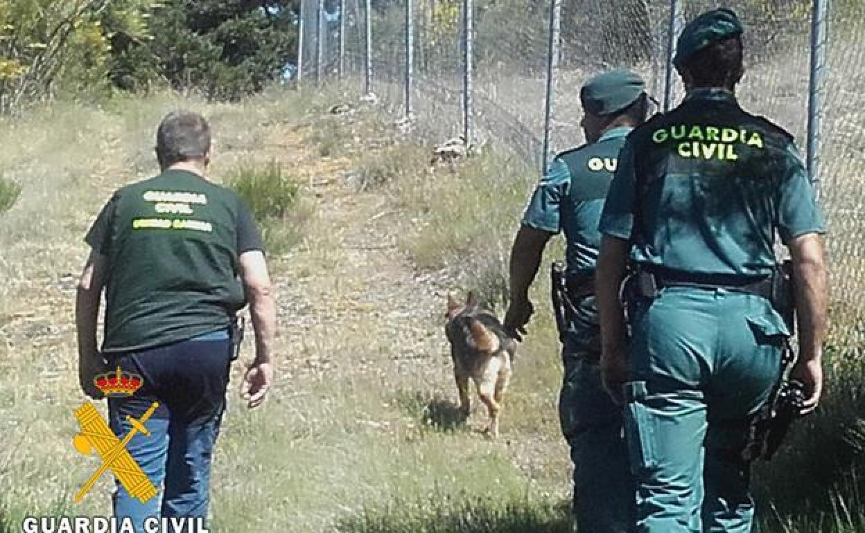 Imagen de archivo de la Guardia Civil en la comarca de La Demanda. 