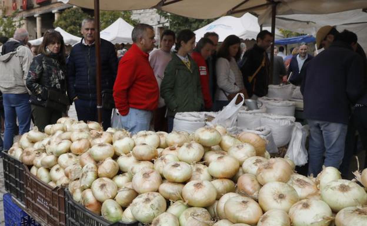 Cebollas horcal, con la que se elabora la morcilla de Burgos. 