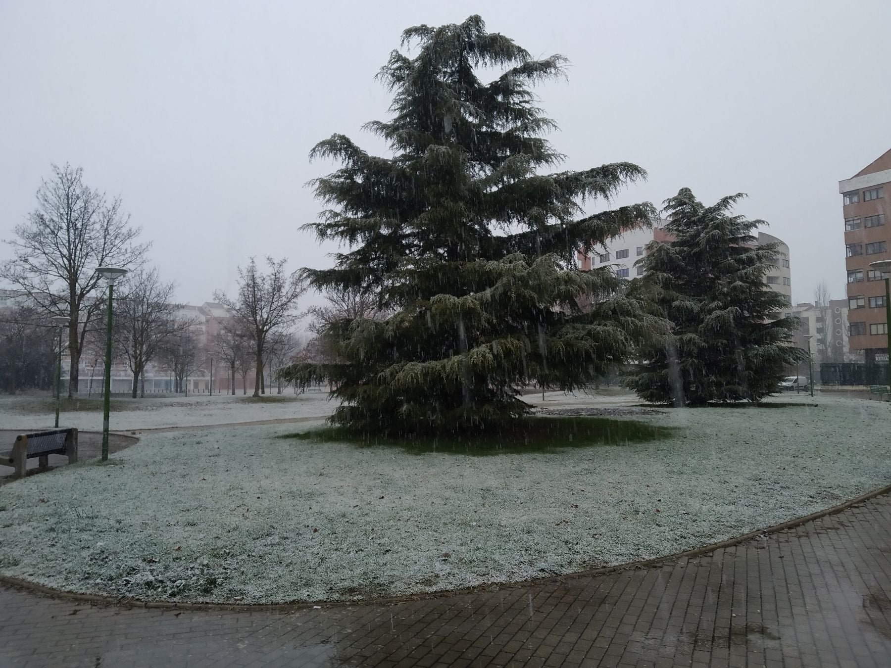 Fotos: Primera nevada del año en Burgos