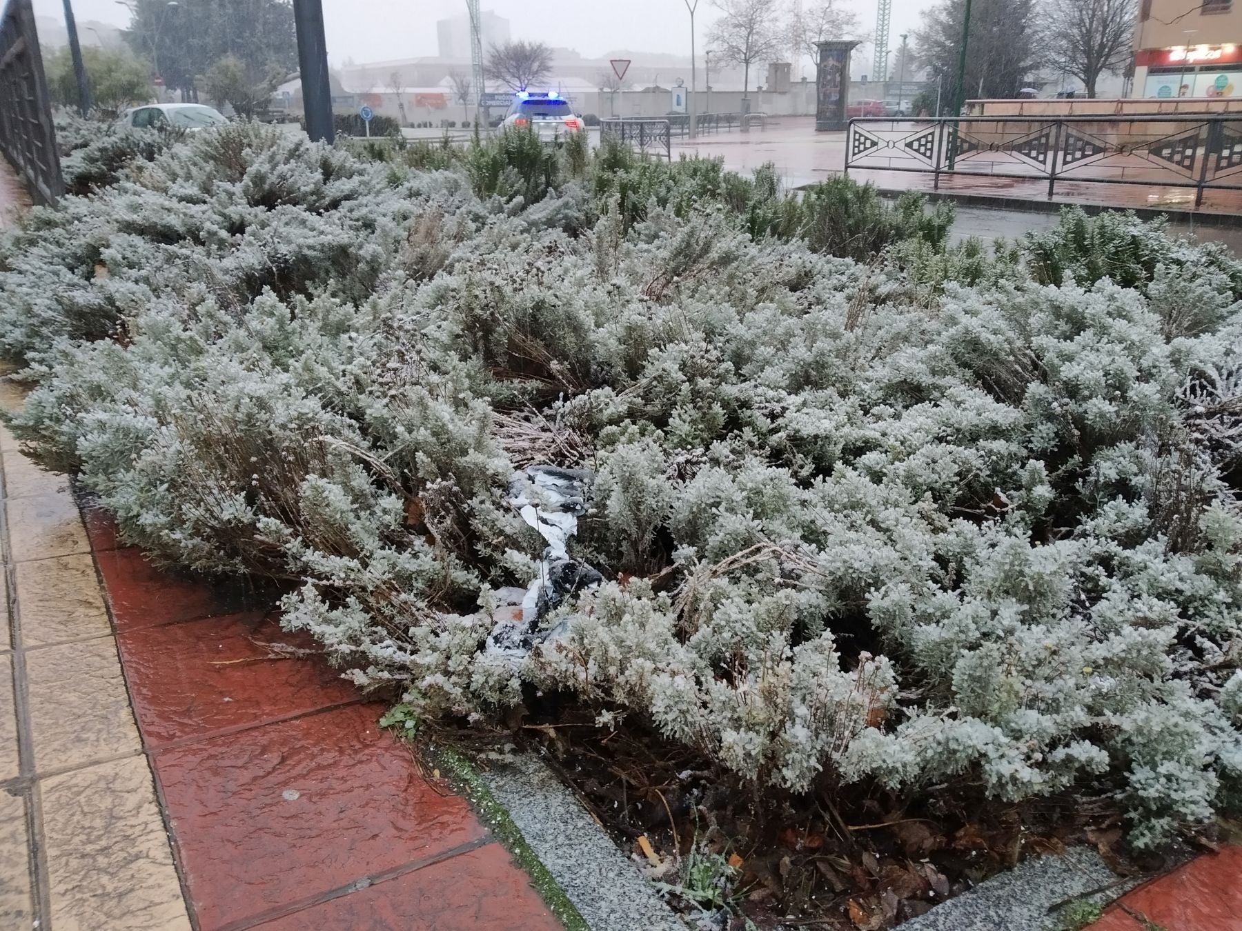 Fotos: Primera nevada del año en Burgos