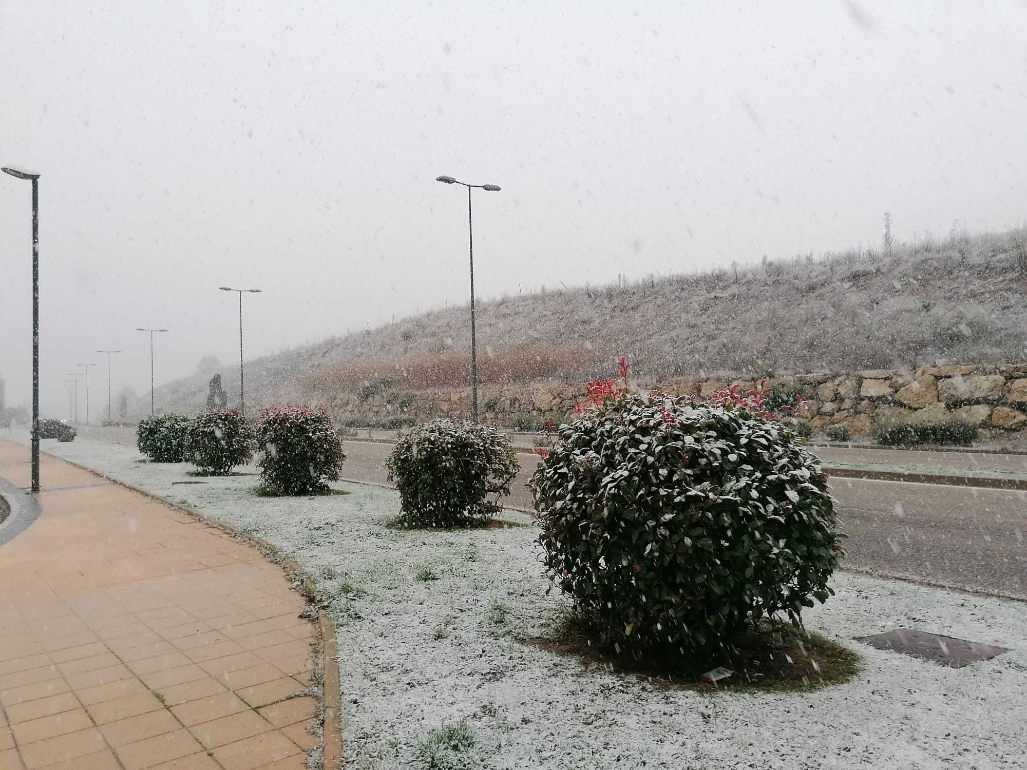 Fotos: Primera nevada del año en Burgos