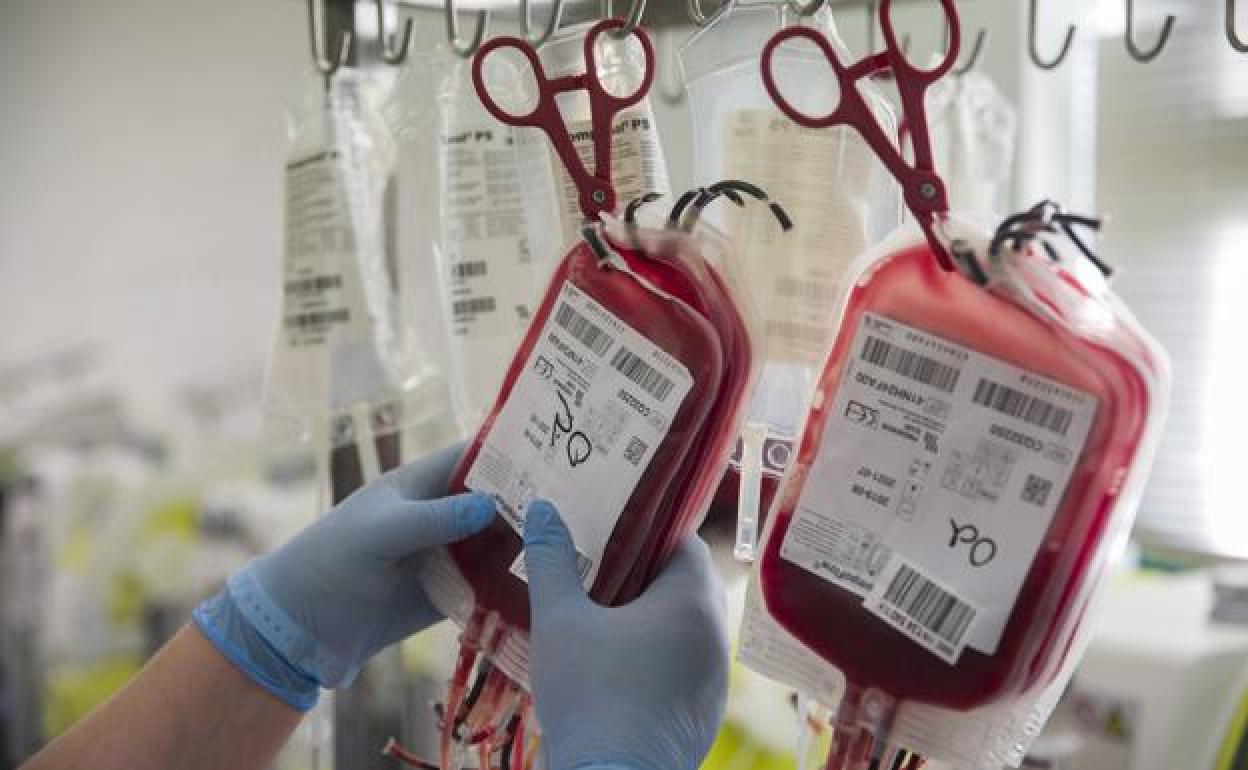 Los burgaleses son solidarios en la donación de sangre.