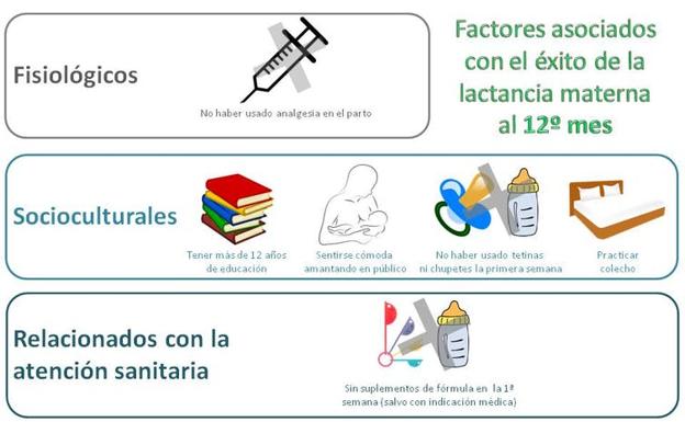 Figura 3: Factores fisiológicos, socioculturales y relacionados con la atención sanitaria que se encuentran asociados con el éxito de la lactancia materna al año de nacimiento.