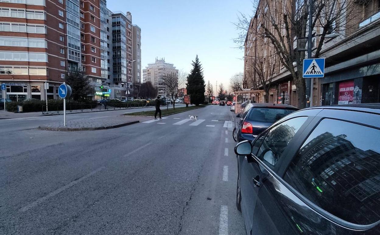 El paso de cebra de la avenida del Cid es uno de los que pasará a ser 'inteligente' ante la poca visibilidad del mismo. 