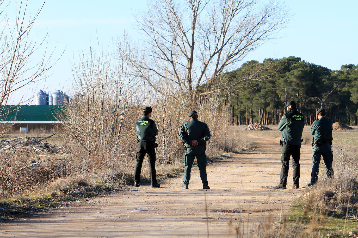 Los pavos afectados por el foco de gripe aviar entraron en la granja en noviembre y tenían 10 semanas de edad