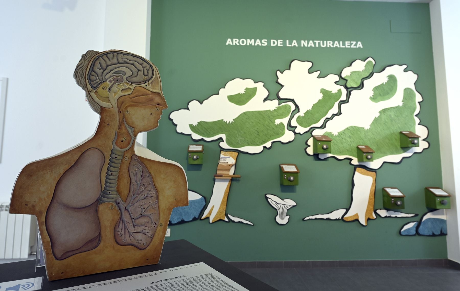 Fotos: Museo de los Aromas de Santa Cruz de Salceda