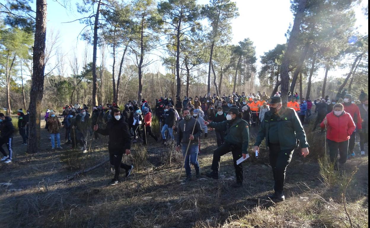 Agentes de la Guardia Civil, durante la última batida del sábado. 