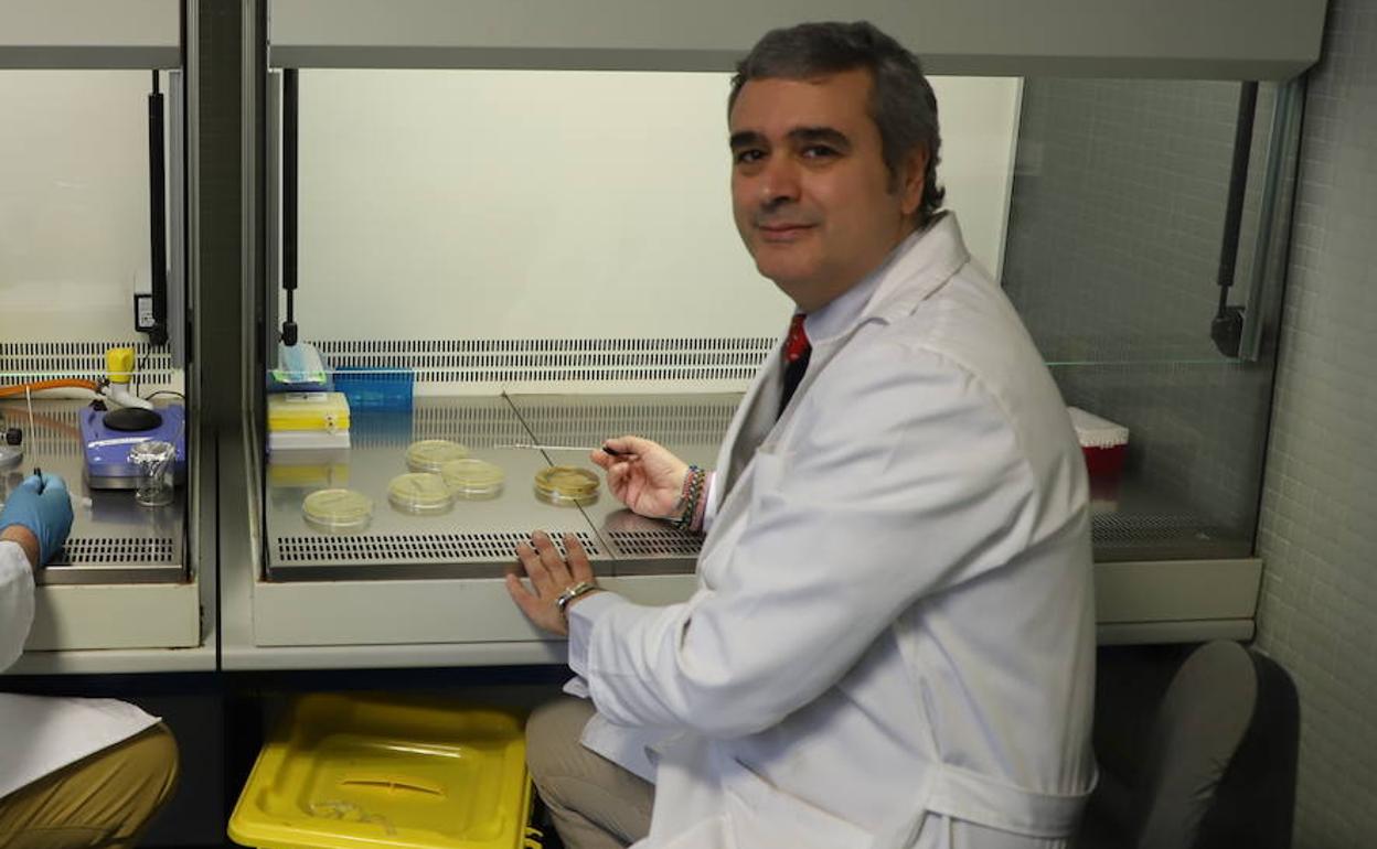 El doctor David Rodríguez-Lázaro, en la Universidad de Burgos.