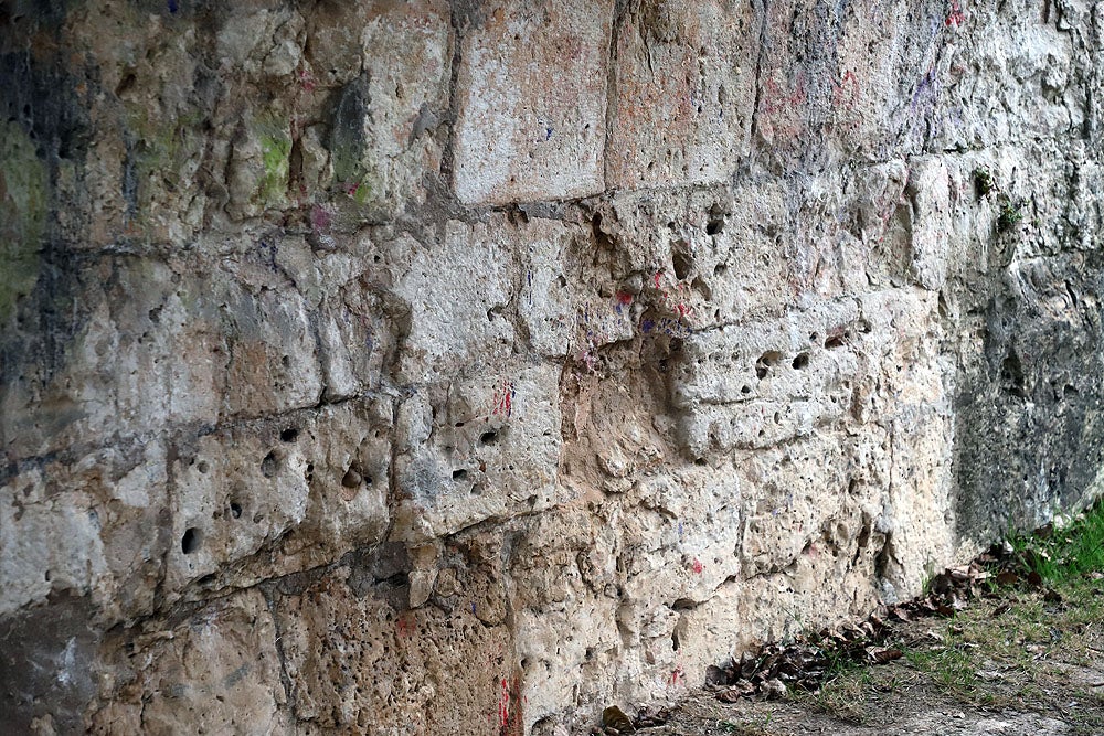 Fotos: El Puente Malatos está deteriorado y sufre vandalismo