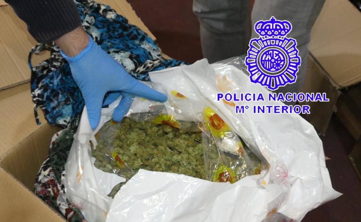 Parte de la marihuana intervenida en Aranda de Duero.