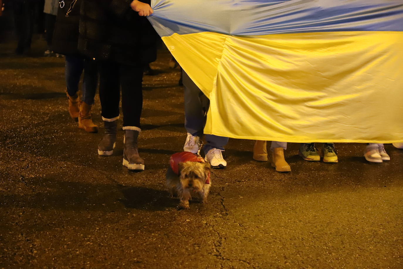 La comunidad ucraniana y los burgaleses, unidos en la manifestación por la paz en las calles de Burgos