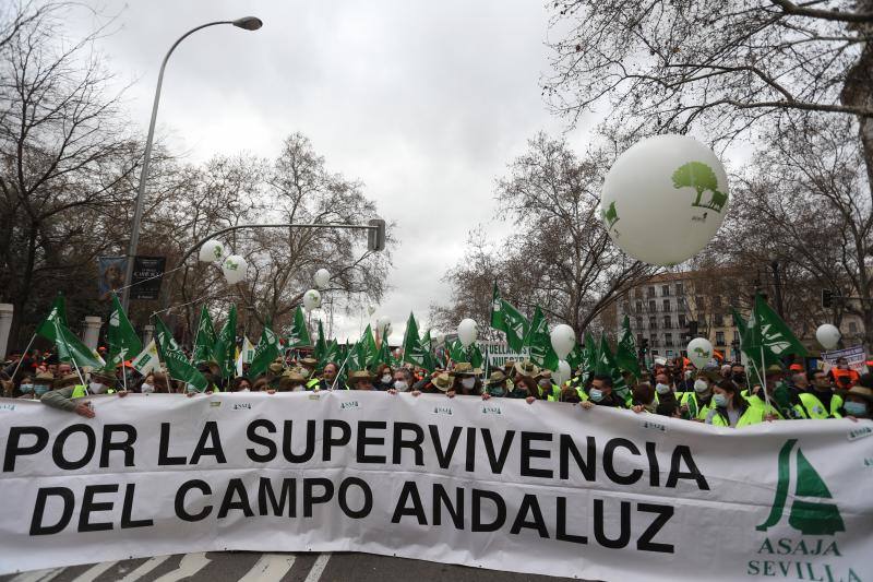 En los últimos días el mundo rural también está haciendo frente al aumento de precios del cereal para los animales por la invasión de Ucrania y a la huelga de los transportistas que impide sacar a los mercados su producción.