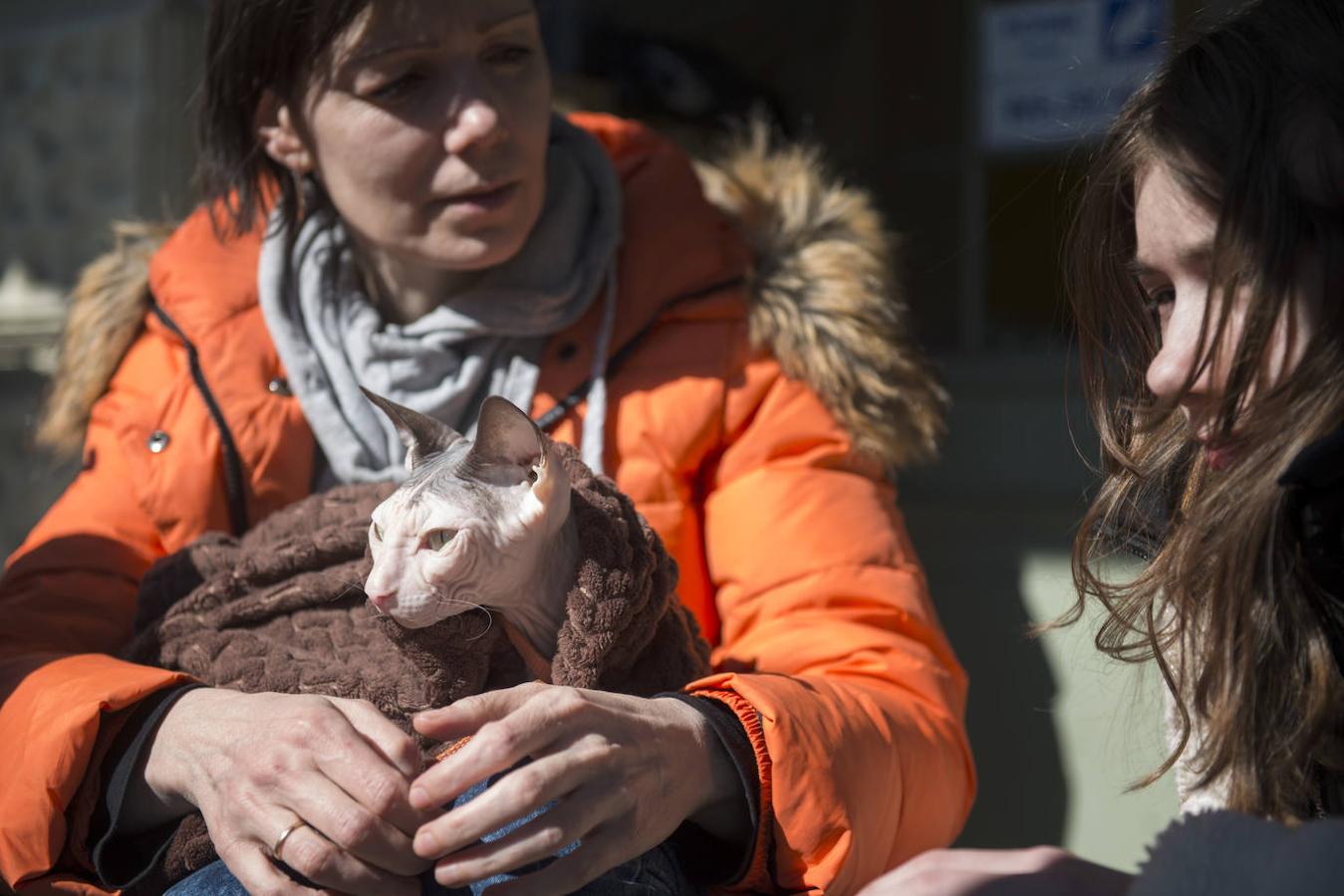 Anastasia viaja con un gato esfinge, muy delicado, y se turna con sus dos hijos para cubrirlo con una manta y que no pase frío ni le dé el sol.