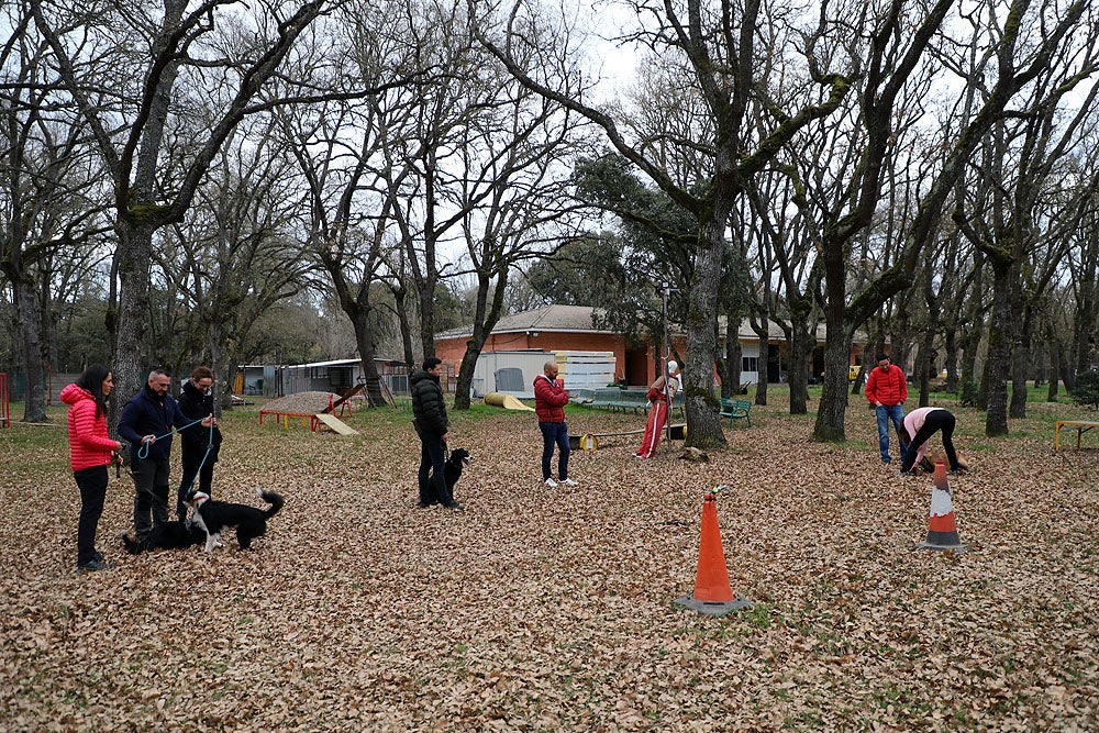 Fotos: El GREM de Burgos entrena a los nuevos perros de rescate y salvamento