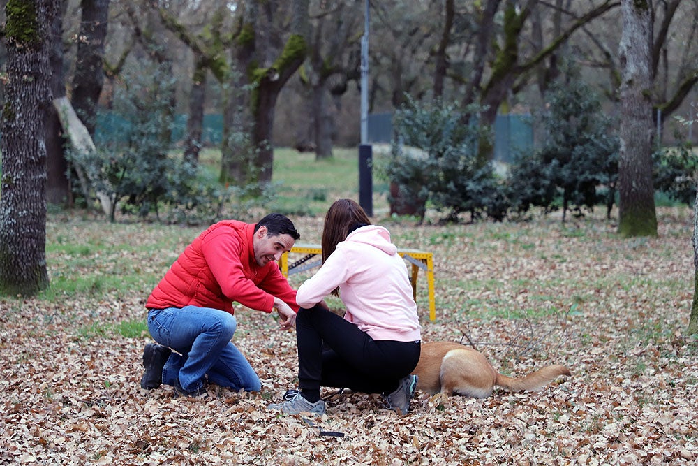 Fotos: El GREM de Burgos entrena a los nuevos perros de rescate y salvamento