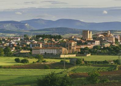 Imagen secundaria 1 - Medina de Pomar, visita obligada