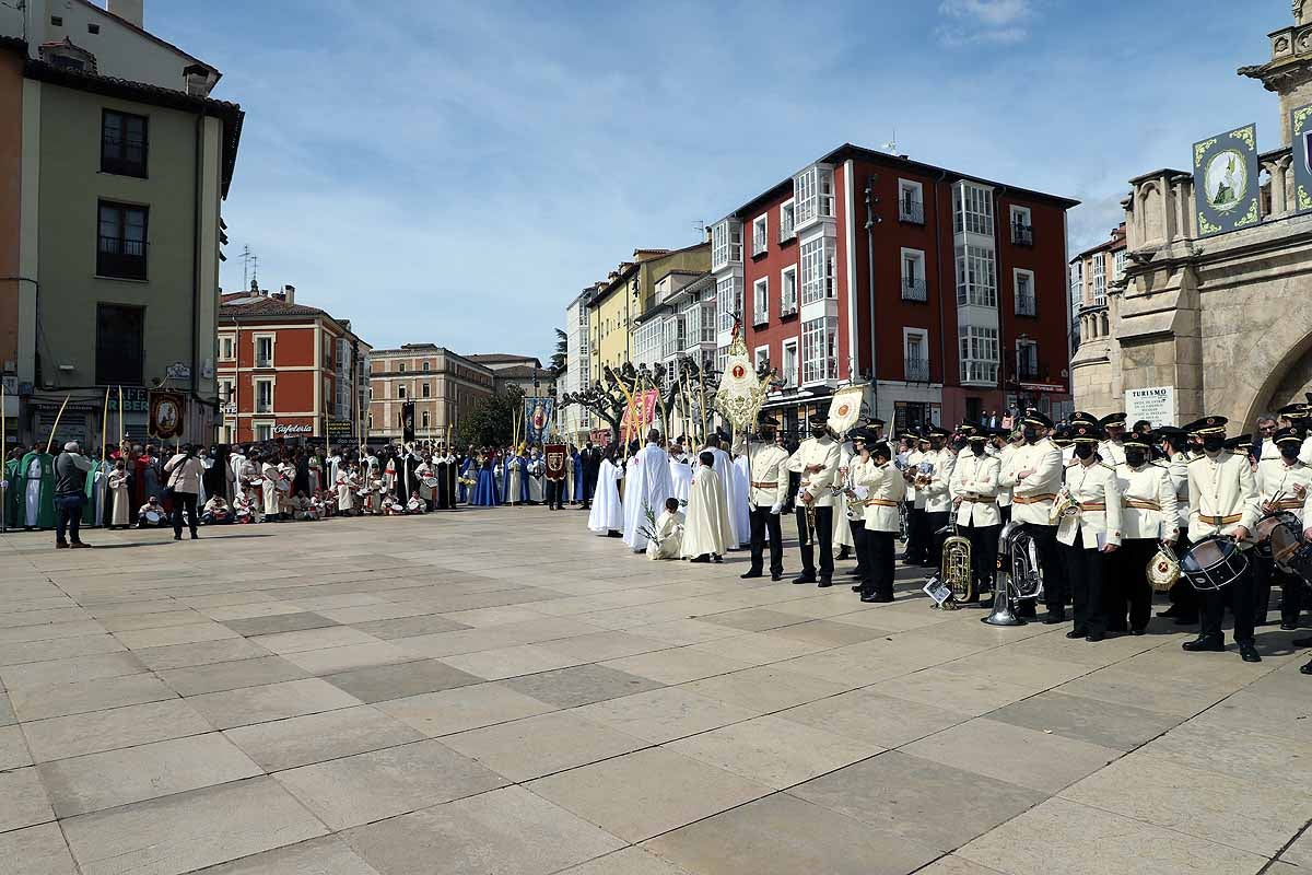 Fotos: La Borriquilla vuelve a recorrer las calles de Burgos