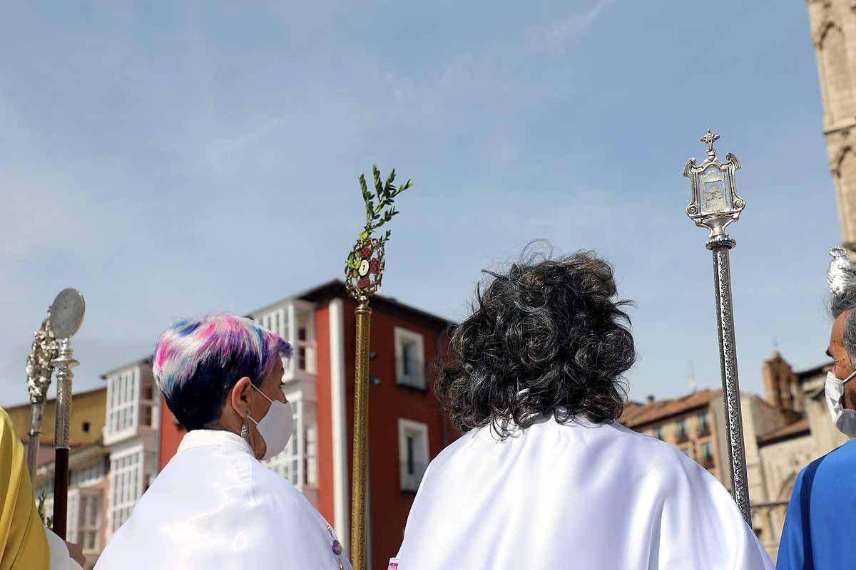 Fotos: La Borriquilla vuelve a recorrer las calles de Burgos