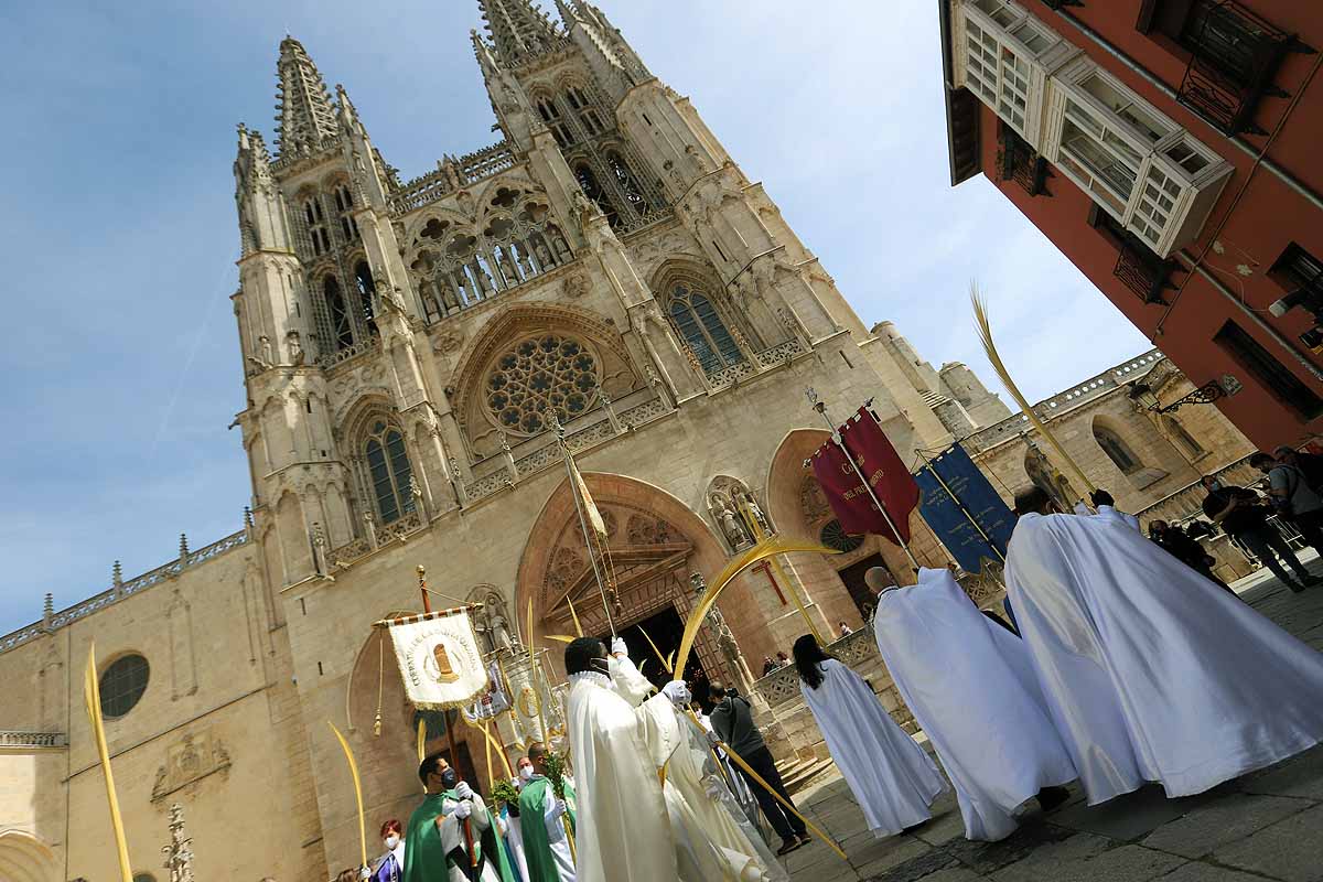 Fotos: Palmas en Burgos para recibir a La Borriquilla