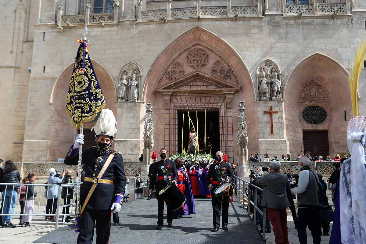 Fotos: Palmas en Burgos para recibir a La Borriquilla