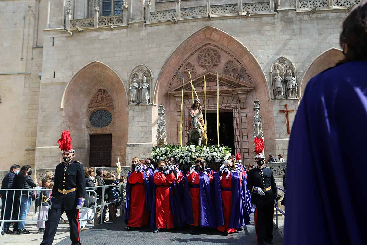 Fotos: Palmas en Burgos para recibir a La Borriquilla