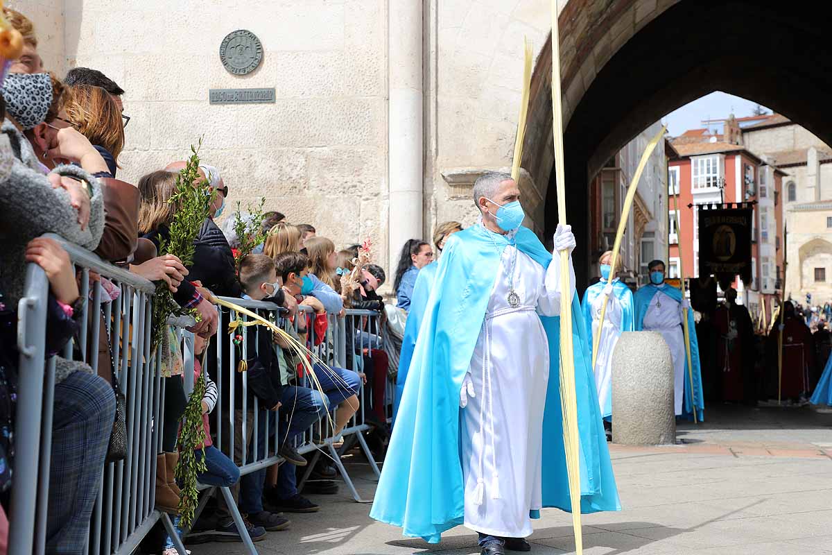 Fotos: Palmas en Burgos para recibir a La Borriquilla