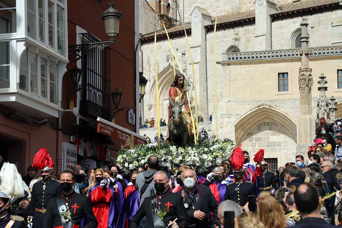 Fotos: Palmas en Burgos para recibir a La Borriquilla