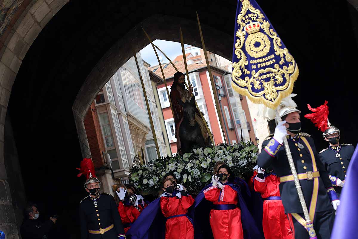 Fotos: Palmas en Burgos para recibir a La Borriquilla