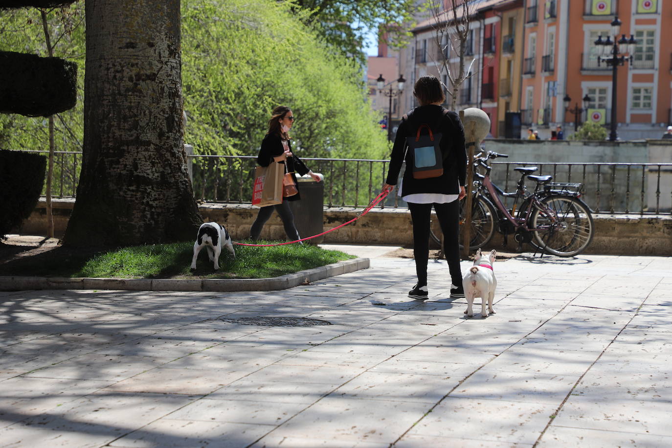 Burgaleses y turistas han disfrutado del sol y las terrazas este sábado en Burgos