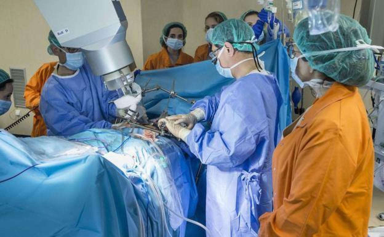 Un equipo médico realiza un transplante