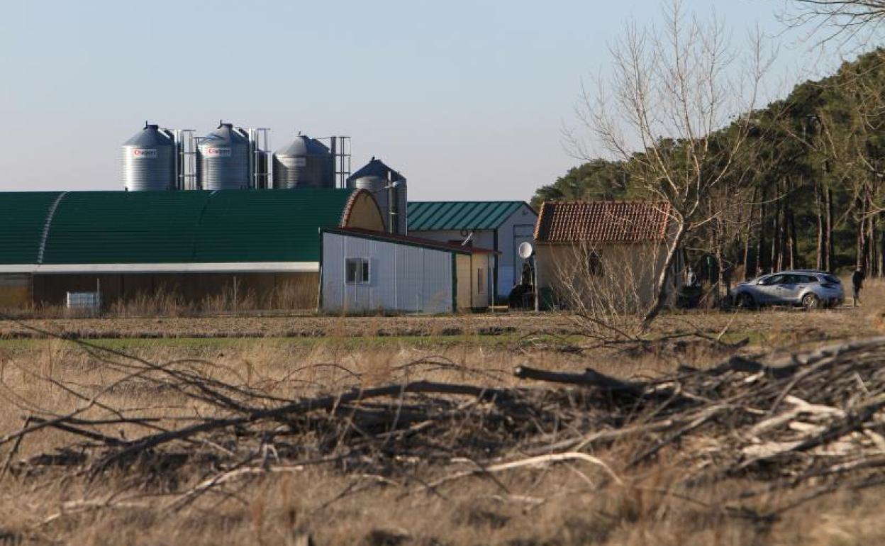 Granja afectada en el primer brote detectado en Castilla y León. 